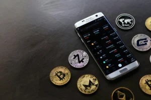 Exploring Life2Vec Coin: The Dreadful Risks of Digital Transactions